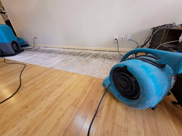Reliable Basement Flood Cleanup contractor in Warwick, RI by Hirex Water Damage