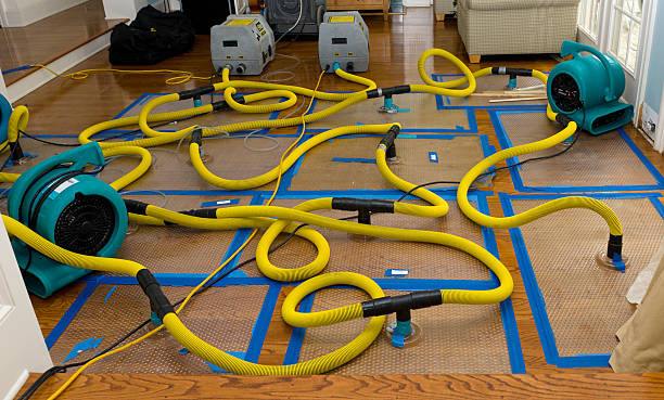 Professional Basement Flood Cleanup technician working in Warwick, RI